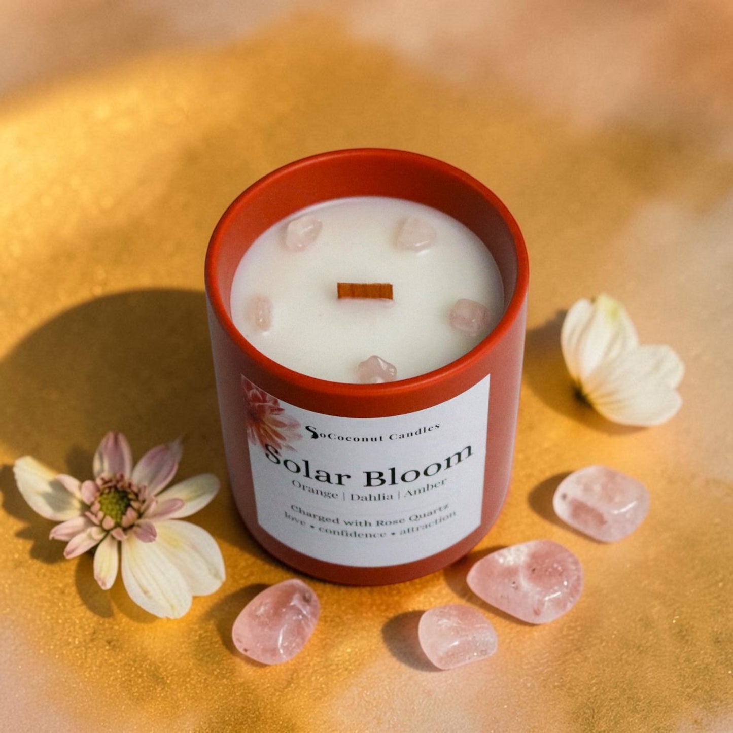 Solar Bloom