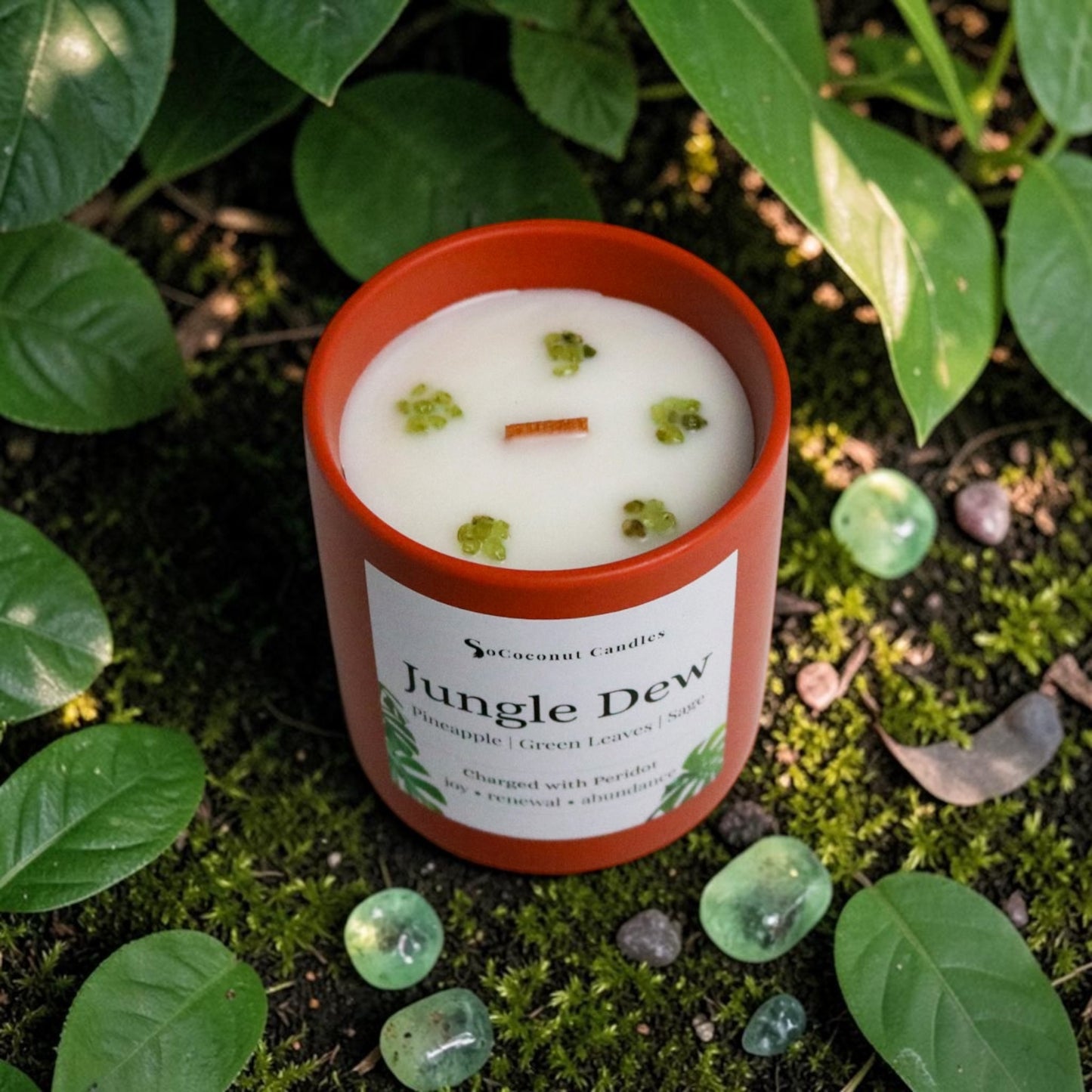 Jungle Dew
